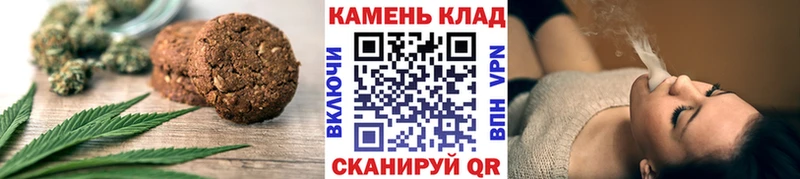 закладки  Сясьстрой  Canna-Cookies конопля 